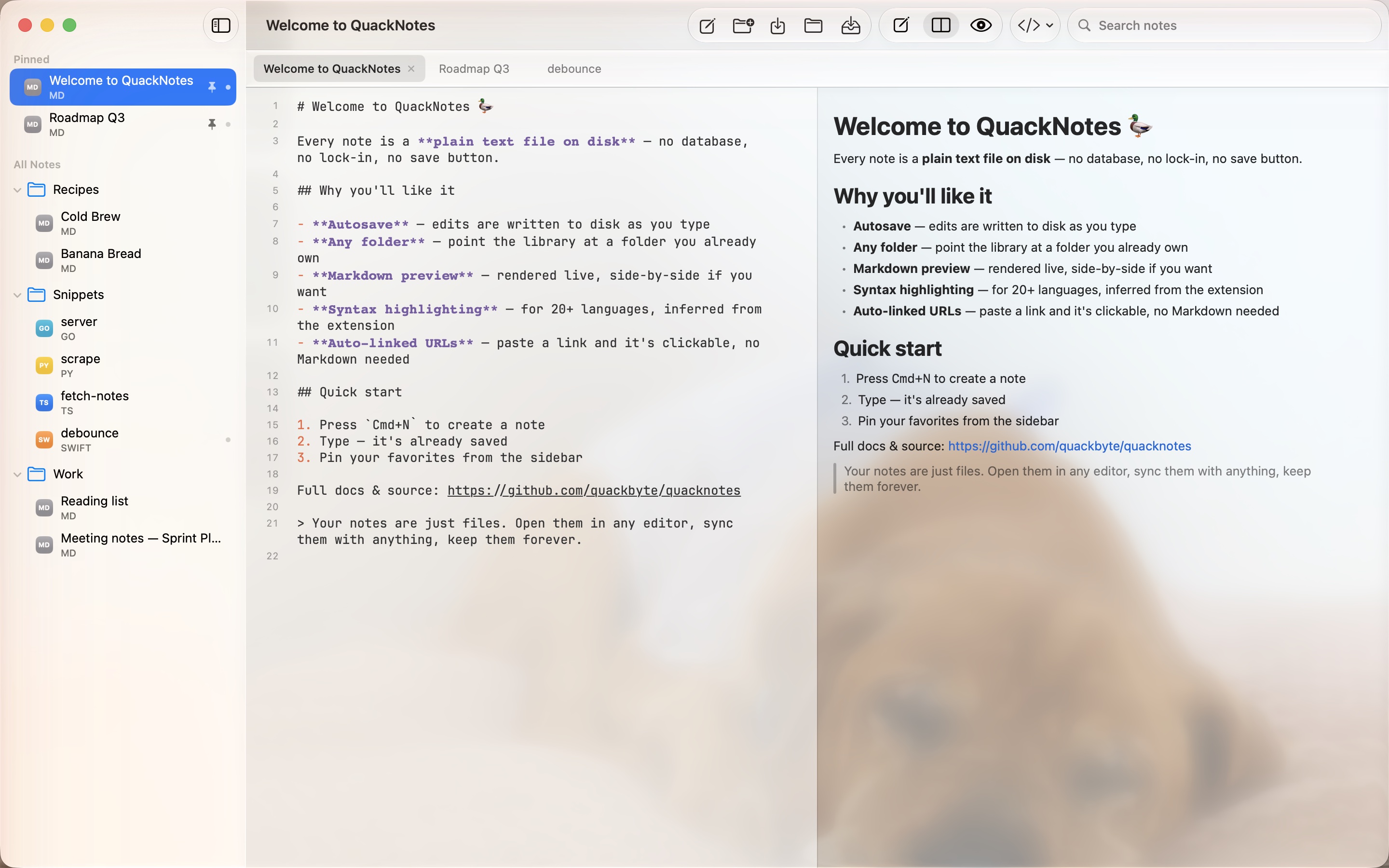 QuackNotes — image 2