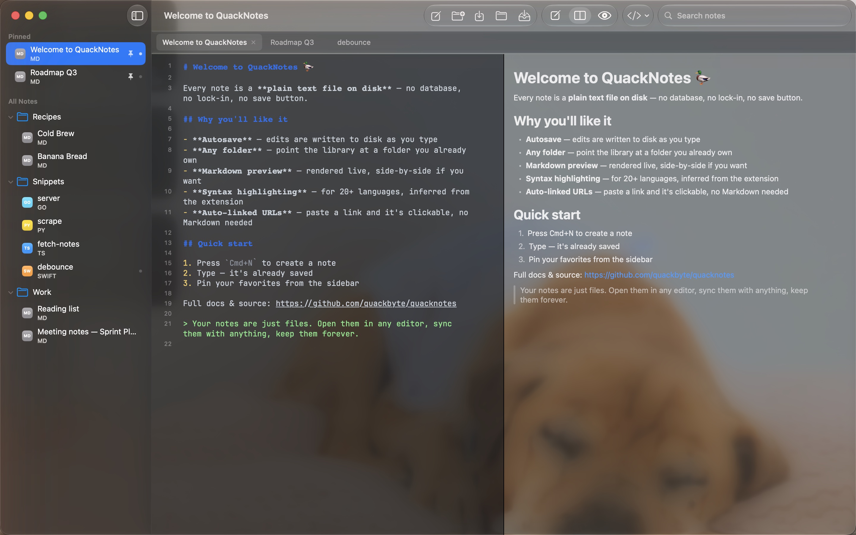 QuackNotes — image 5