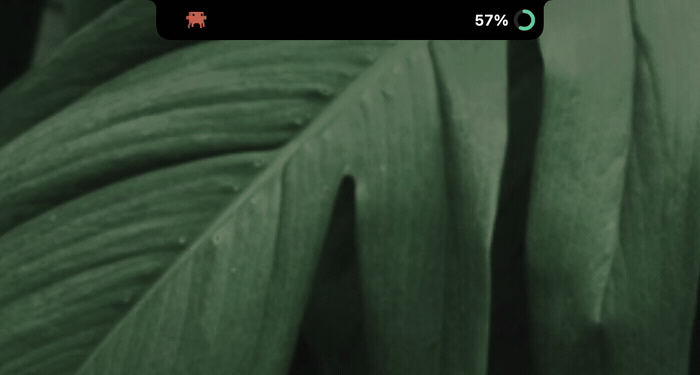 Claude Notch Usage Companion — image 1