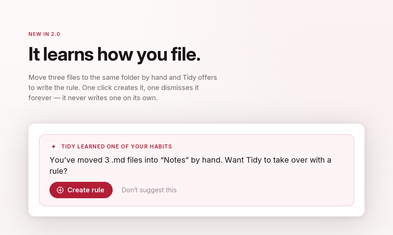 Tidy — image 3