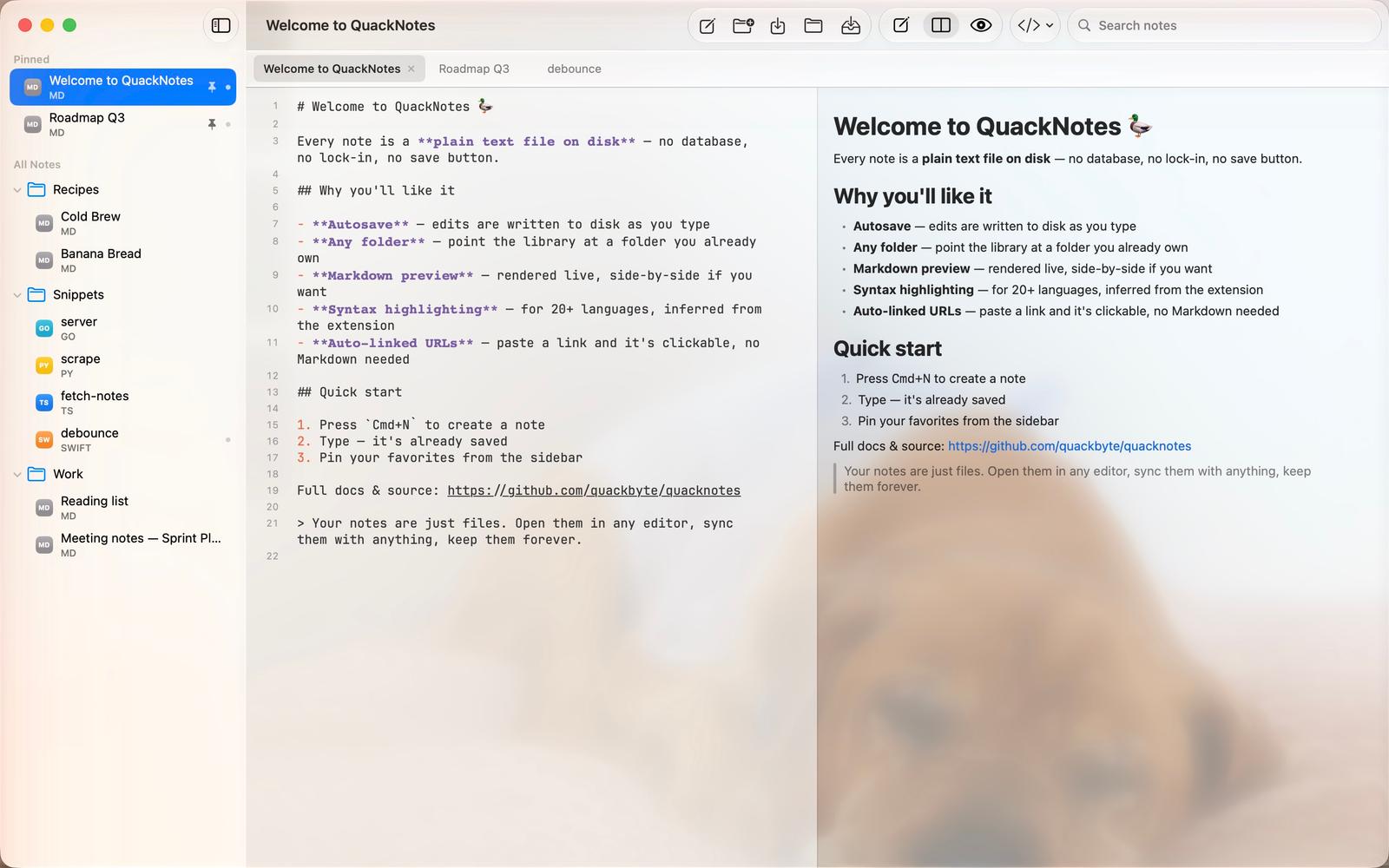 QuackNotes — image 2