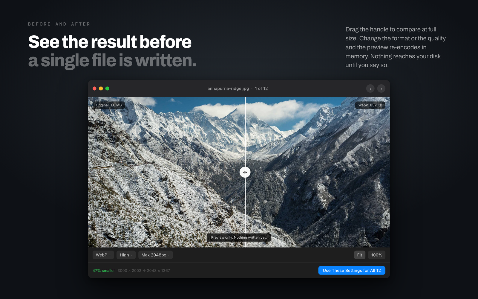 Sqz — image 4